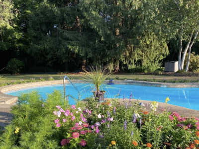 Sun and Cricket Bed & Breakfast
